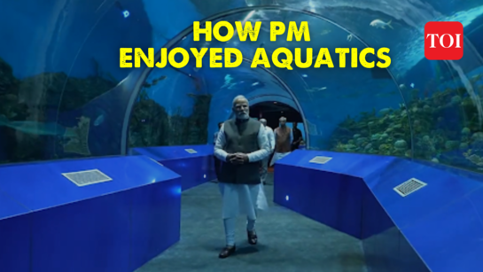 Watch: PM Modi admires the captivating marine life at Gujarat's Aquatic gallery