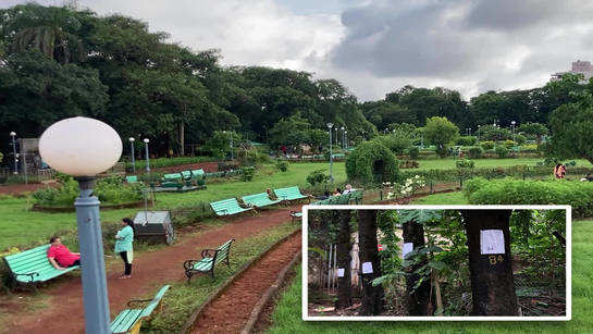 हैंगिंग गार्डन पेड़ काटने की योजना के बारे में मुंबईवासी क्या कहते हैं?