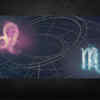 ​Leo and Scorpio