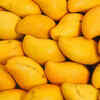 ​​Mango​