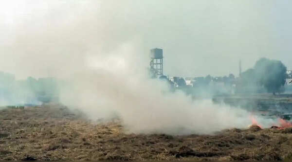 Stubble burning in Punjab