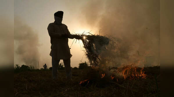 Farmer burning crop in Amritsar