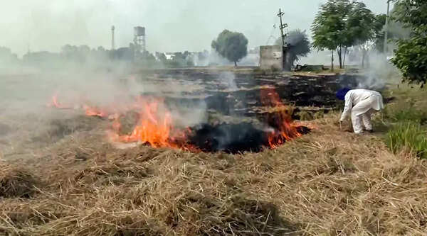 Punjab crop burning