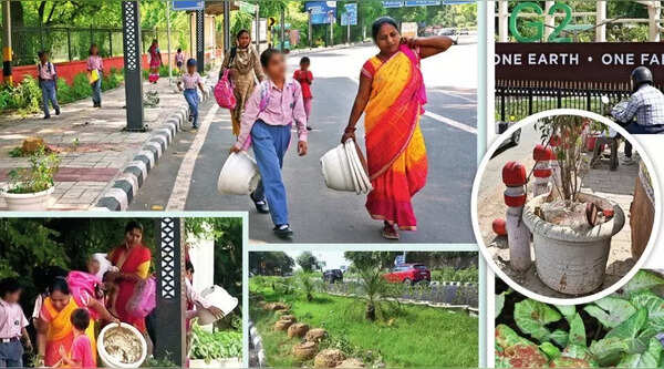 Delhi planter thefts