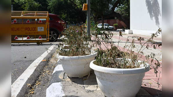 Delhi beautification