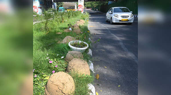 Delhi G20 preparations