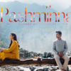 Pashmina