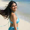 ​​ One of the strong contestants'​