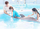 Dolphin Tale