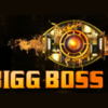 Article image for: Rumoured list of <i class="tbold">bigg boss 17</i>
