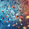 ​As cervical cancer advances these signs are visible​
