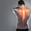 ​Weight management​