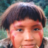 Article image for: Yanomami tribe