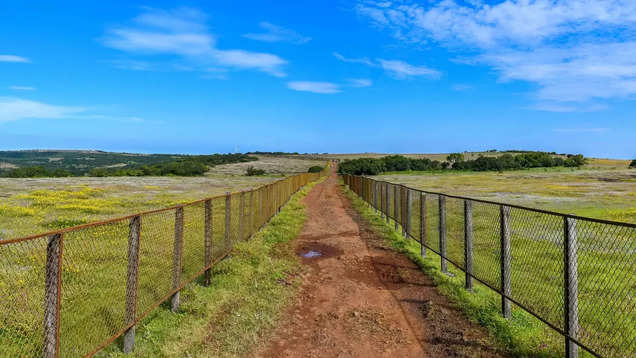 Kaas Plateau: Maharashtra's Valley of Flowers | Times of India Travel