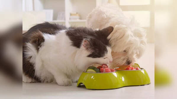 Increased appetite (Polyphagia)