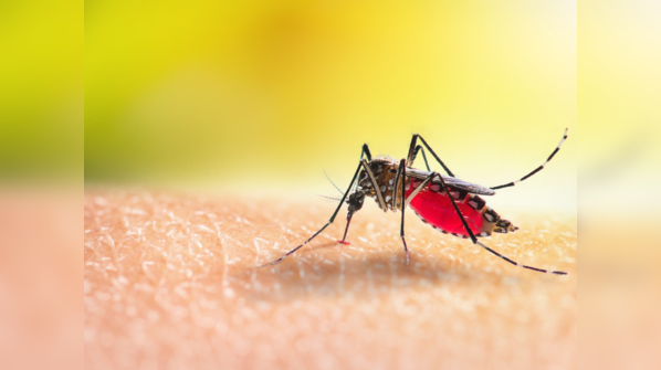 The medicine stops the virus from replicating