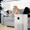 Article image for: Invest in <i class="tbold">air purifiers</i>