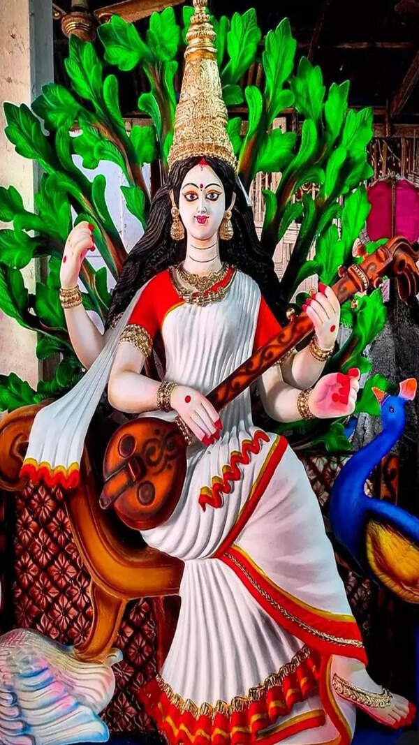 Veena Images