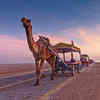 Gujarat Tourism - Experience Kutch at its most vibrant and... | Facebook