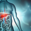 ​Signs of fatty liver often go unnoticed​