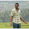 ​'Mr. Perfect' ​