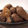 Morel Mushroom