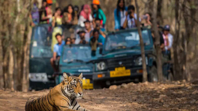 Bandhavgarh National Park: Where wildlife and history can't be ignored