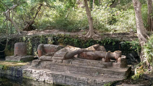 Bandhavgarh National Park: Where wildlife and history can't be ignored