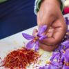 ​Saffron (Crocus sativus)​