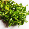 ​Brahmi (Bacopa monnieri)​
