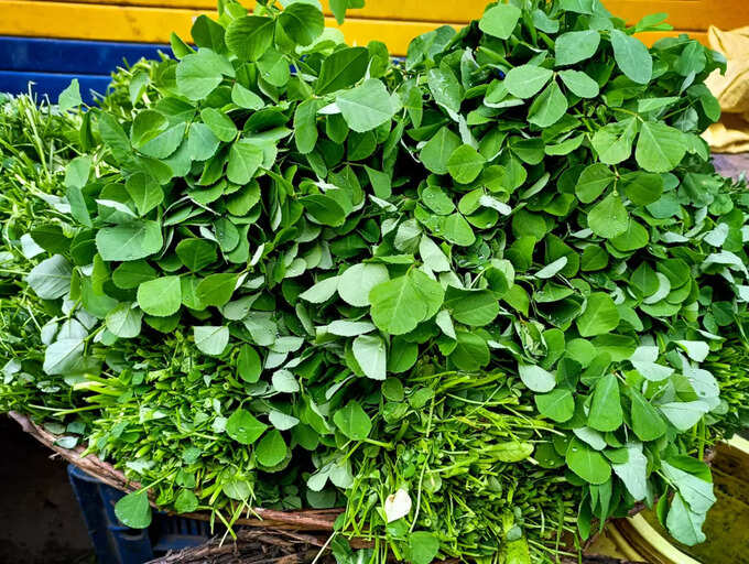 12 benefits of eating fenugreek leaves in this weather The Times of India