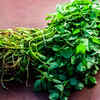 ​Rich in nutrients​