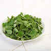 ​Respiratory health​