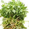 Boosts digestive health