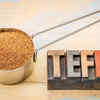 ​​Prebiotic fiber​