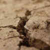 Maintaining emotional resilience