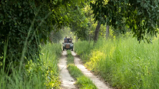 Soon, Gurugram to have &lsquo;Leopard Park&rsquo; on 15 km Aravali stretch with jungle safari