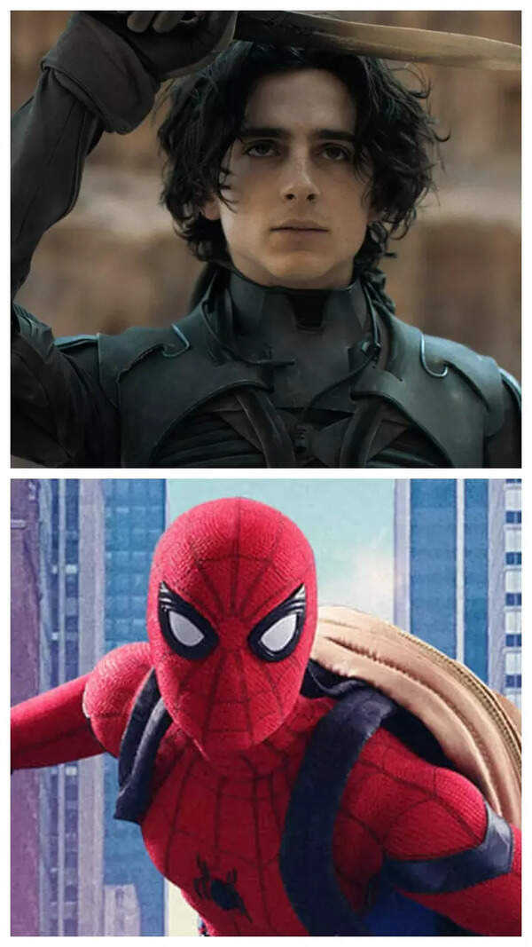 Timothee Chalamet Pictures