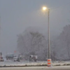 Chicago snowfall sparks social media frenzy 