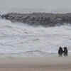 ​<strong>Two dead in Belgium </strong>​