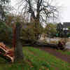​<strong>1,300 affected after crane collapse in Brest, Finistere</strong>​