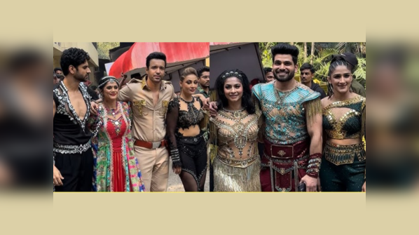 The star-studded contestants