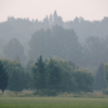 ​Risks of morning walks in polluted air​