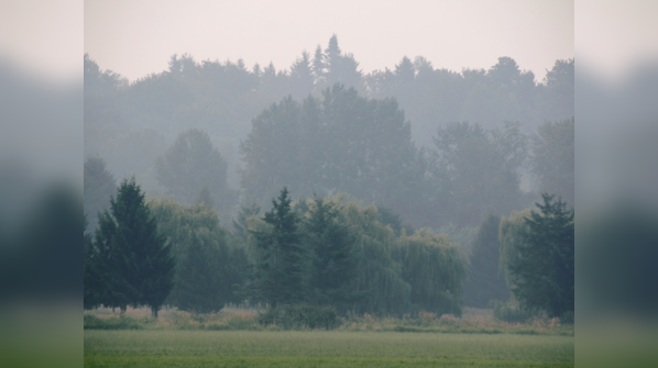 Risks of morning walks in polluted air