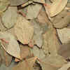 Protect your house from insects & mosquitos