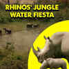 Article image for: Viral Sensation: Rhinos' enchanting jungle water fiesta mesmerizes viewers worldwide