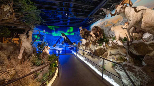 Tri-Valley Treasures: Unforgettable family adventures in California