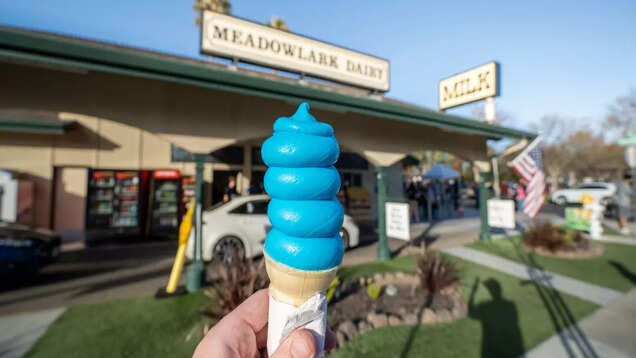 Tri-Valley Treasures: Unforgettable family adventures in California