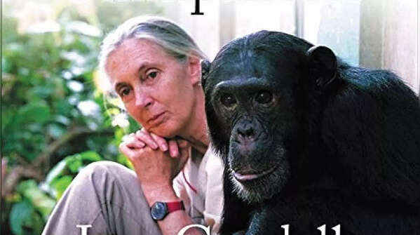 My Life with the Chimpanzees