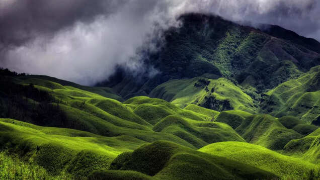 Dzukou Valley: Kohima's enigmatic natural wonder